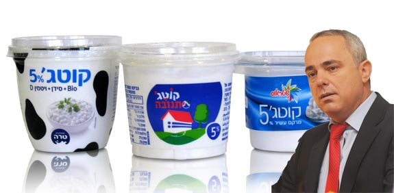 יובל שטייניץ קוטג' / צלם: איל יצהר הילה , דפנה